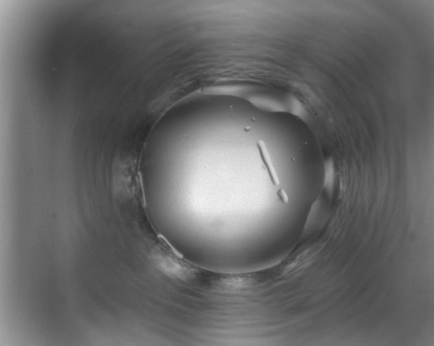 X0000070880237200606161211