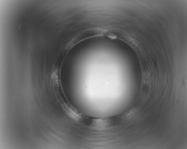 X0000070880238200606161211