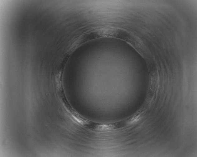 X0000070880239200606161211