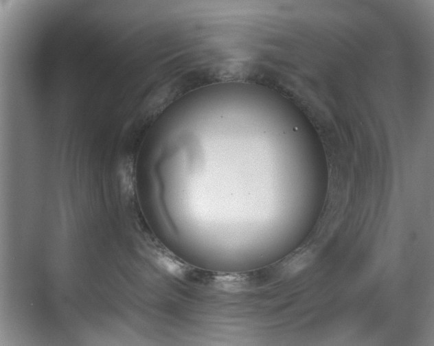 X0000070880240200606161211