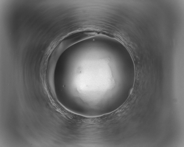 X0000070880241200606161210