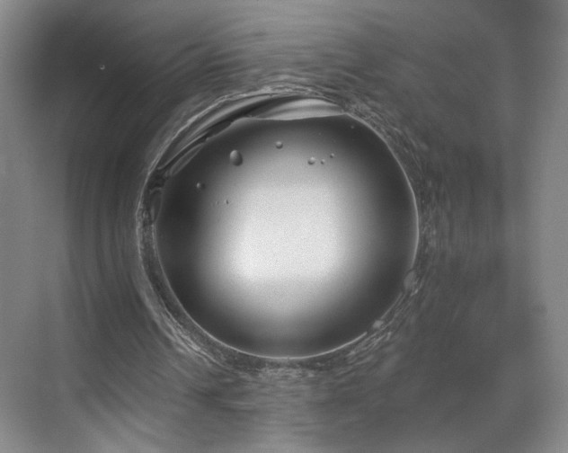 X0000070880242200606161210