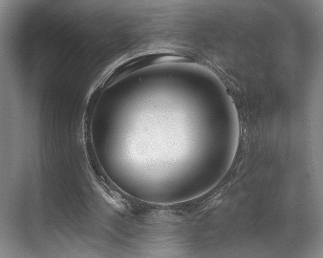 X0000070880244200606161210