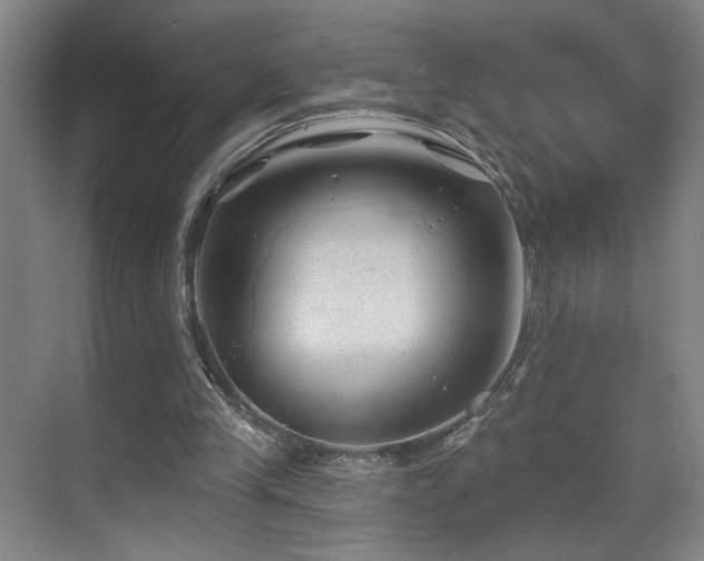 X0000070880245200606161210