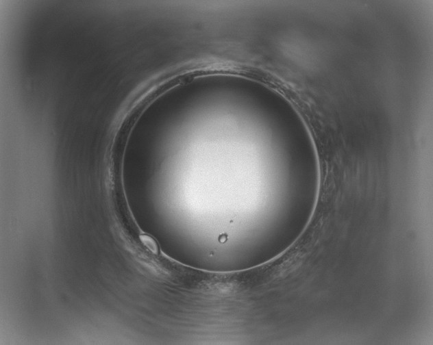 X0000070880247200606161210