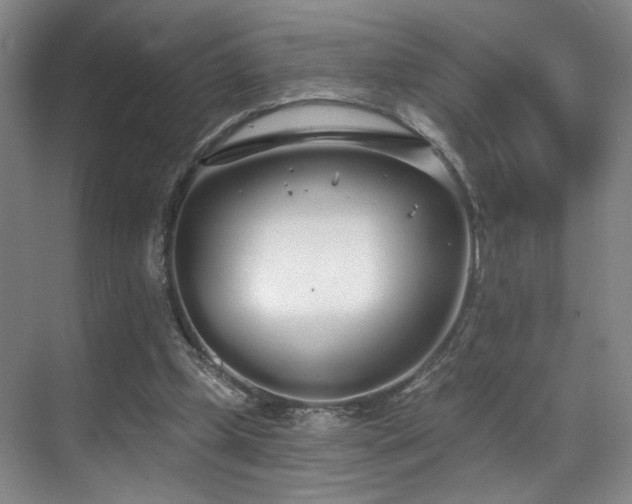 X0000070880249200606161210