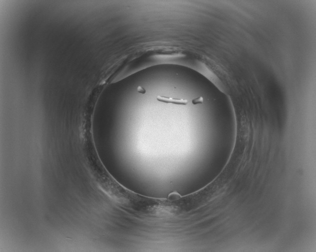 X0000070880255200606161210