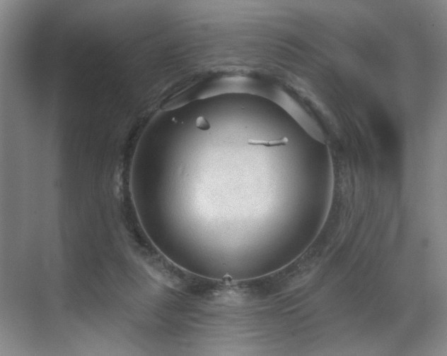 X0000070880259200606161210