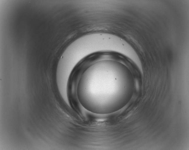 X0000070880260200606161210