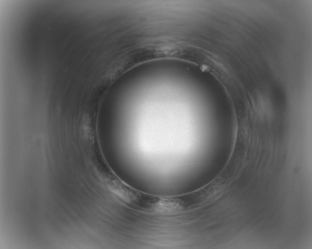 X0000070880270200606161210