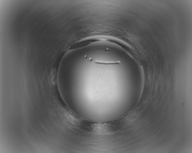 X0000070880273200606161210