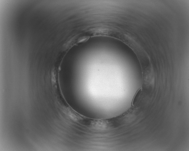 X0000070880282200606161210