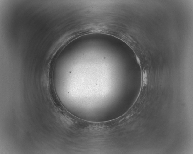 X0000070880291200606161210