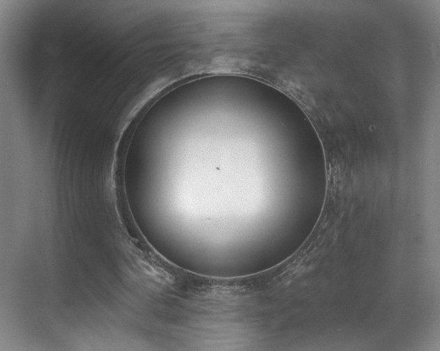 X0000070880292200606161210