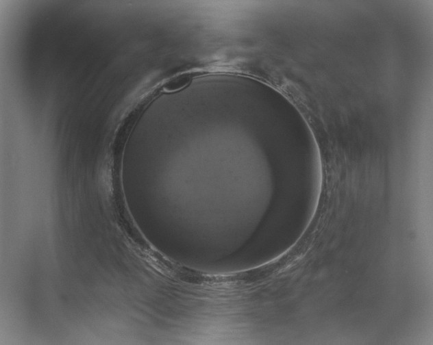 X0000070880295200606161210