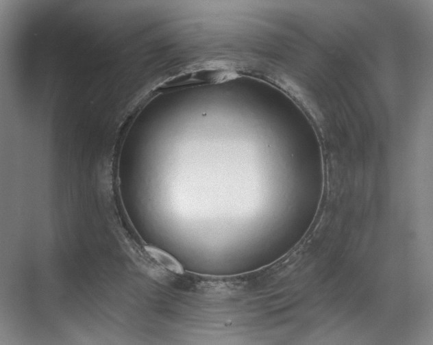 X0000070880297200606161210