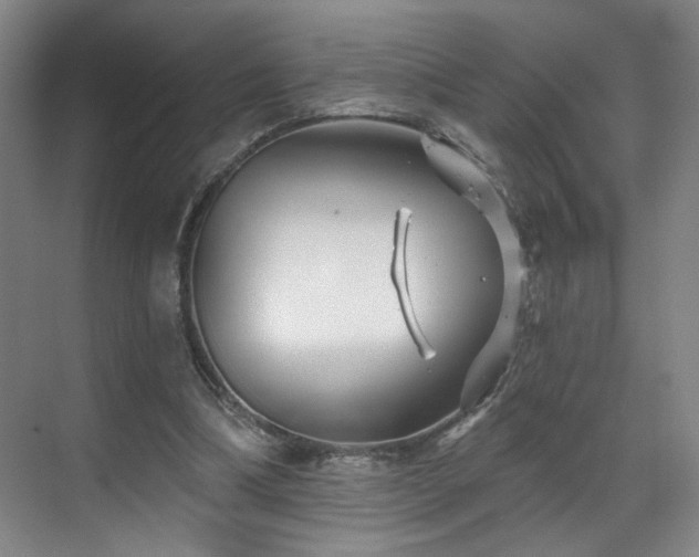 X0000070880298200606161210