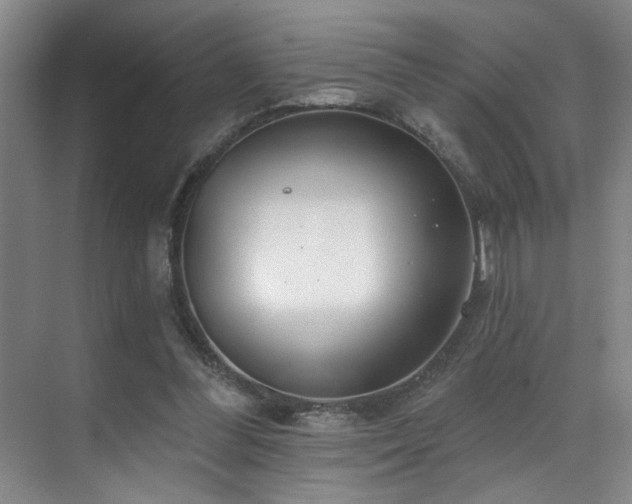 X0000070880300200606161210