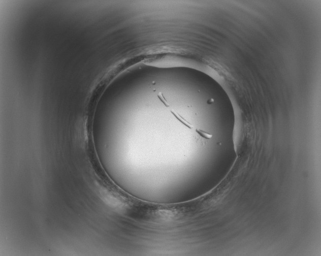 X0000070880302200606161210