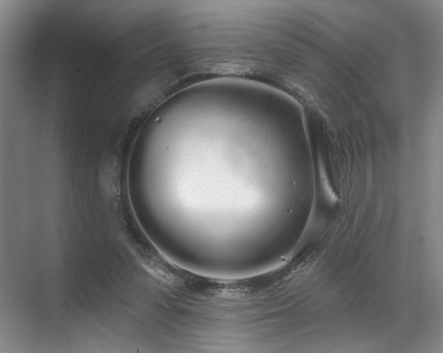 X0000070880303200606161210