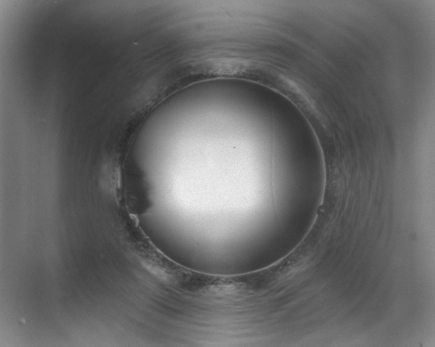 X0000070880307200606161209