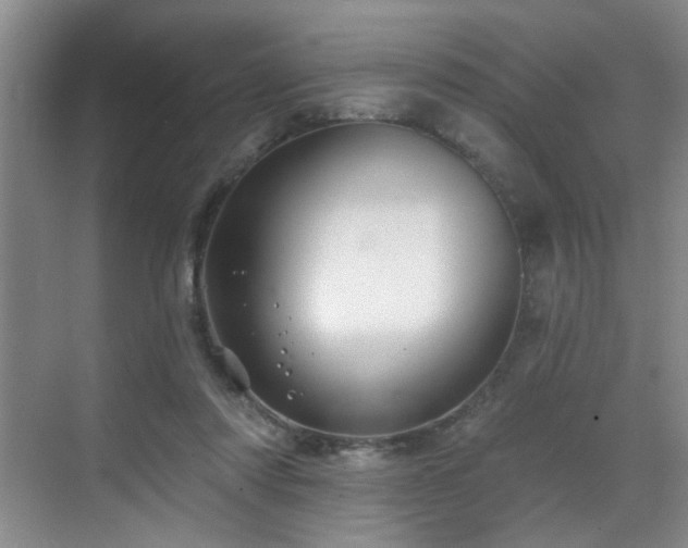 X0000070880310200606161209