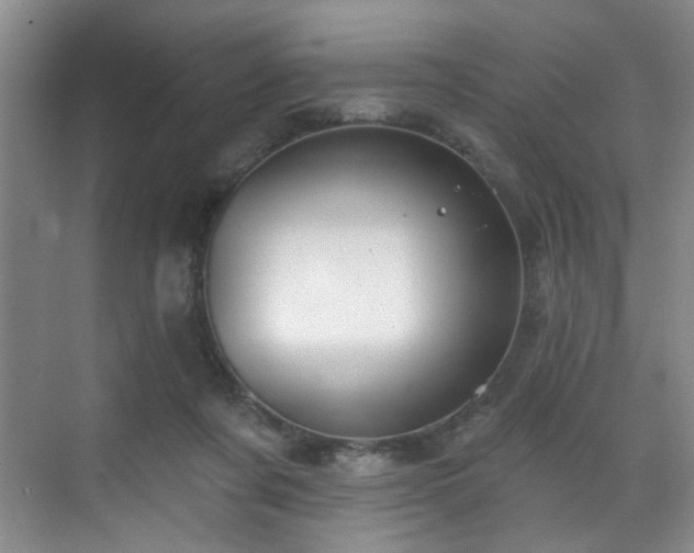 X0000070880311200606161209