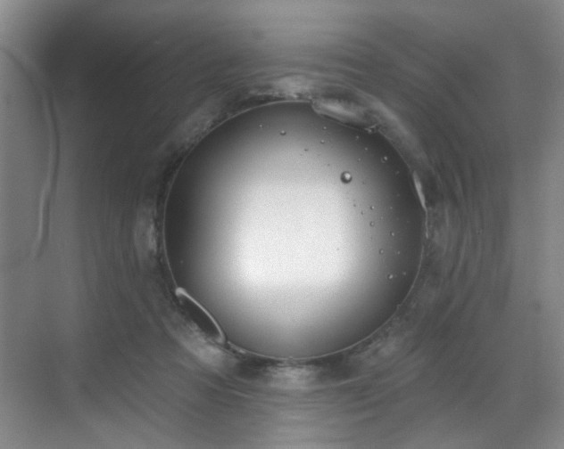 X0000070880313200606161209