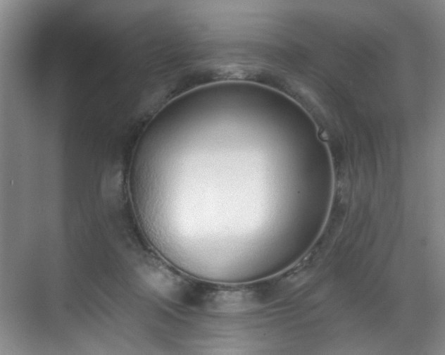 X0000070880314200606161209