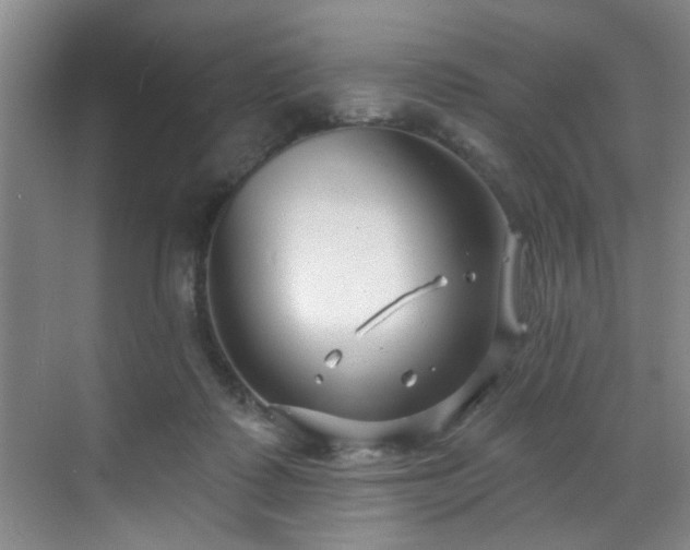 X0000070880315200606161209