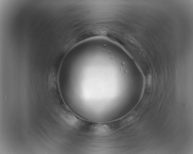 X0000070880322200606161209