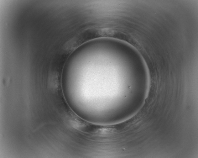 X0000070880323200606161209