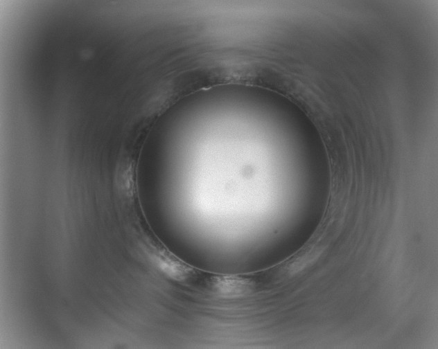 X0000070880336200606161209