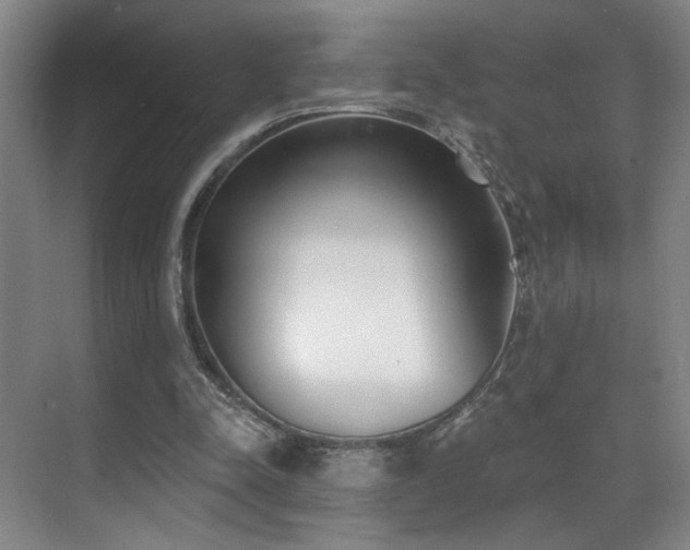 X0000070880342200606161208