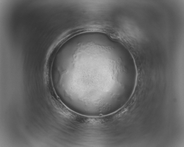 X0000070880343200606161208