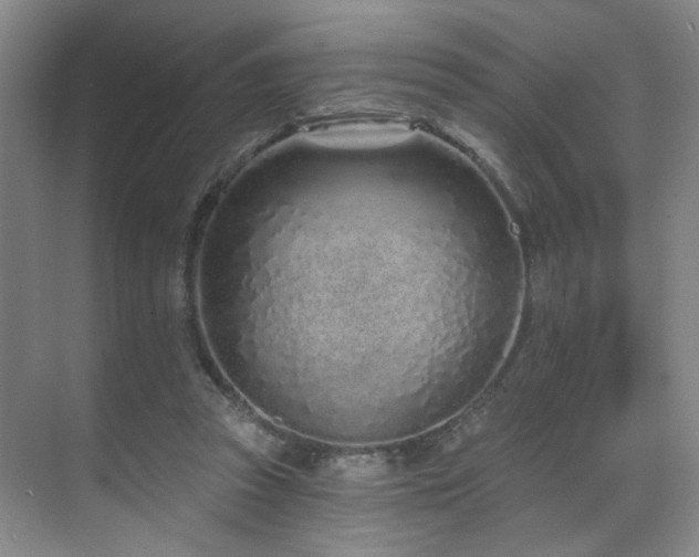 X0000070880353200606161208