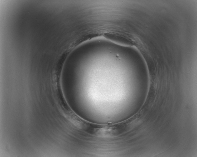 X0000070880366200606161209