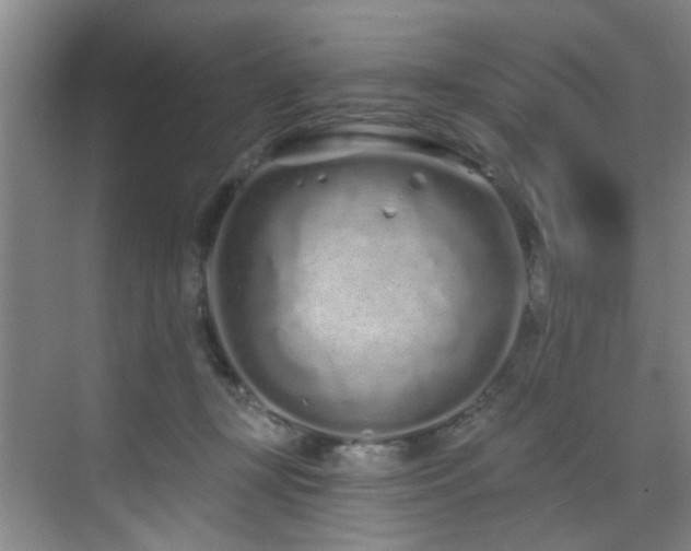 X0000070880367200606161209