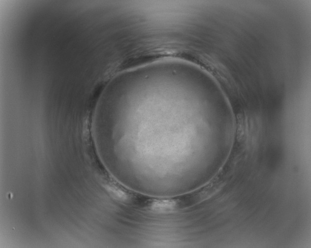 X0000070880369200606161209