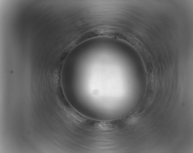 X0000070880372200606161209