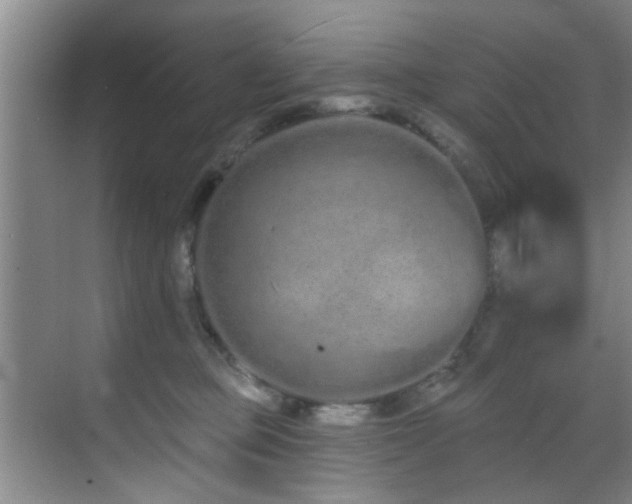 X0000070880373200606161209