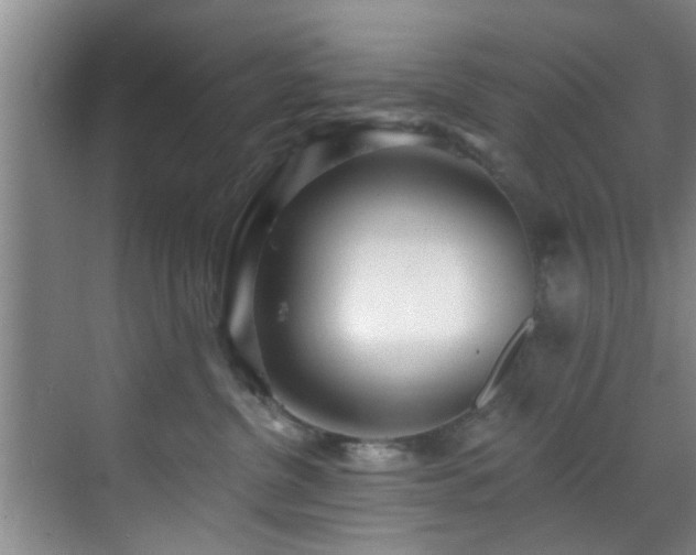 X0000070880380200606161209