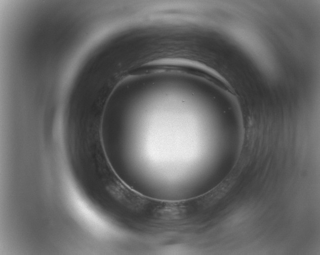 X0000070880383200606161209