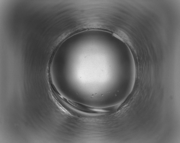 X0000070880389200606161208