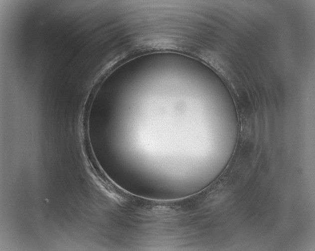X0000070880390200606161208