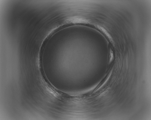 X0000070880391200606161208