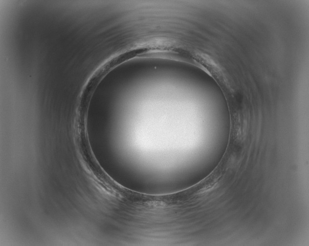 X0000070880392200606161208