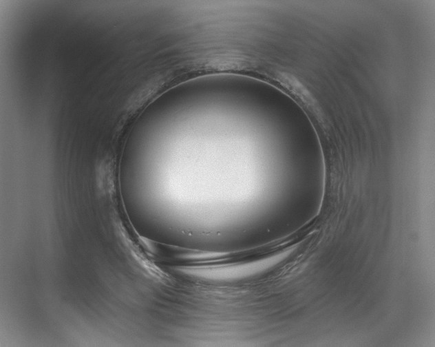 X0000070880393200606161208