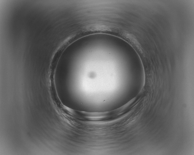 X0000070880395200606161208