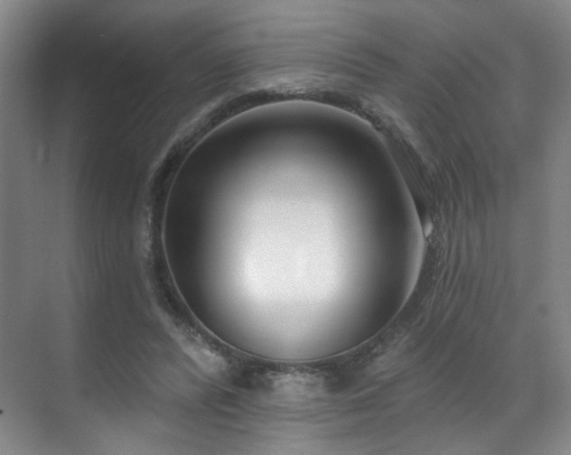 X0000070880400200606161208